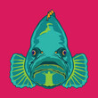 Grouper fish face vector illustration in decorative style, perfect for tshirt style and mascot logo