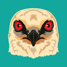Mississippi Kite Bird Face Vector Illustration In Decorative Style, Perfect For Tshirt Style And Mascot Logo