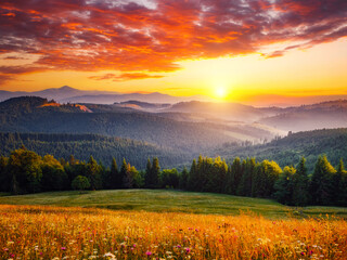 Fotobehang - Spectacular sunset in the valley of the mountains. Carpathian mountains, Ukraine.
