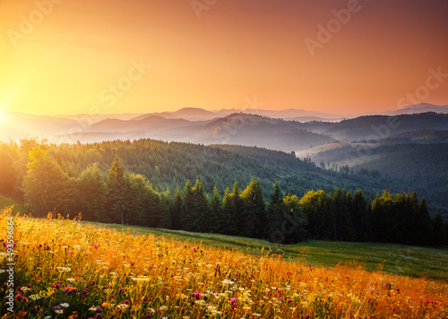 Fototapete - Spectacular sunset in the valley of the mountains. Carpathian mountains, Ukraine.