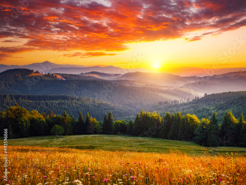 Fototapete - Spectacular sunset in the valley of the mountains. Carpathian mountains, Ukraine.