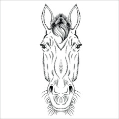 Wall Mural - The Vector logo horse for T-shirt print  design or outwear.  Hunting style horse background. This drawing would be nice to make on the black fabric or canvas.