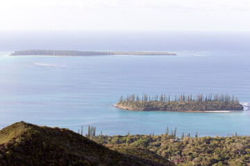 Photo of nature in ile des pins