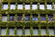 Climate-friendly green buildings in London