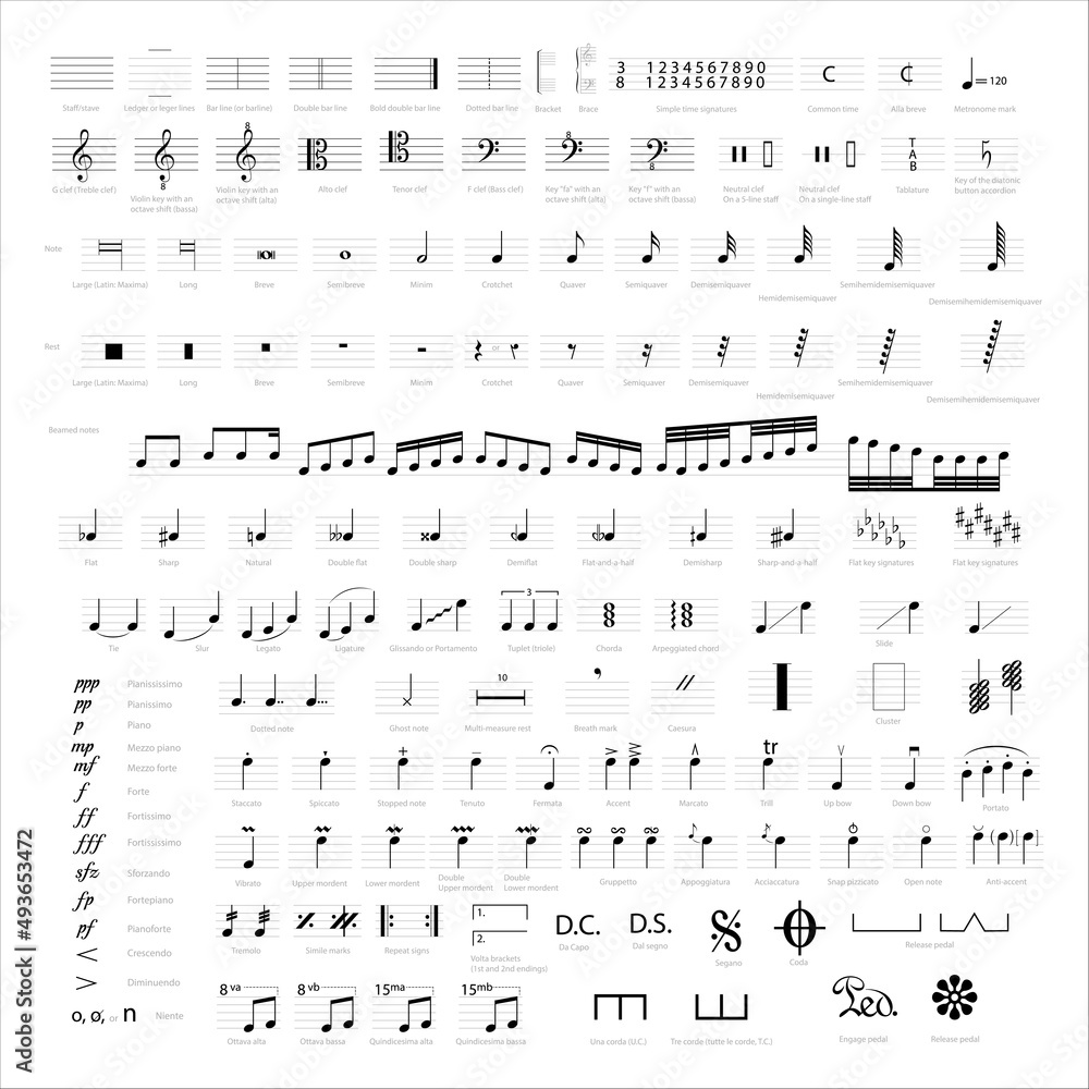 Collection of musical symbols and notes. Musical notation.