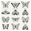 Collection of celestial butterflies and moths. Black outline design. Vector with a slotted pattern. This boho set are good for design of mystical project, card and poster making, decoration clothes an
