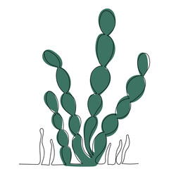 Wall Mural - green algae one line drawing