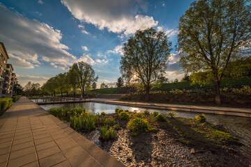 Wall Mural - pond in the park