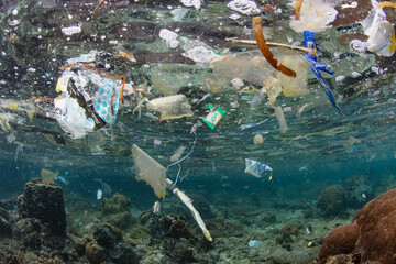 Wall Mural - Plastic bags, bottles, and wrappers drift over a coral reef in Indonesia. Over 14 million tons of plastic go into the ocean ever year, causing major problems for marine species.