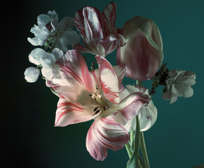 Wall Mural - abstract flower arrangement, spring tulips and apple blossom on a dark background.