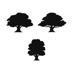 Wall Mural - oak tree silhouette vector design for logo icon