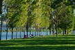 © Carolina - Gente relajada en el parque, Coimbra