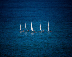 sailing boats on the sea