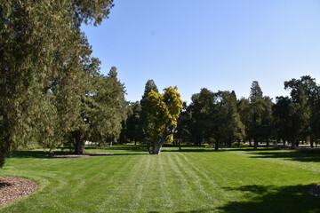 Beautiful green park in Beijing, China