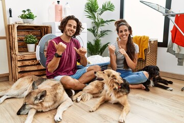 Wall Mural - Young hispanic couple doing laundry with dogs pointing to the back behind with hand and thumbs up, smiling confident