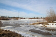 The Melt On The Pond, Pylypow Wetlands, Edmonton, Alberta