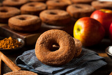 Warm Apple Cider Donuts Ready To Eat