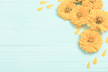 Wall Mural - yellow zinnia flowers on blue  wooden background