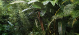 beautiful tropical vegetation garden with palm leaves, lush foliage in a green wild jungle, rain forest backdrop concept for wallpaper, beauty in nature