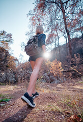 Wall Mural - Active lifestyle. Trekking and hiking. Young woman with rucksack in the rocks forest.