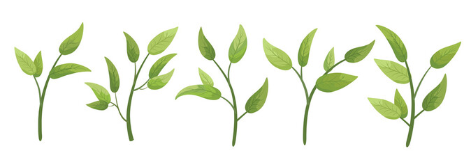 vector designer elements set collection green branch with leaves. decorative beauty elegant illustra