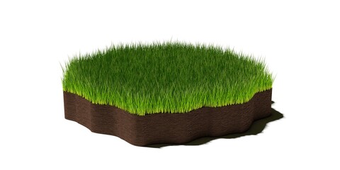 round irregular random shaped circle patch or island of short cut green grass on brown soil ground l