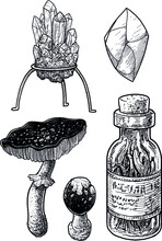 Mineral, Gem, Mushroom And Potion Illustration, Drawing, Engraving, Ink, Line Art, Vector