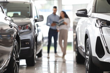 Wall Mural - Woman choosing new car, having conversation with sales manager