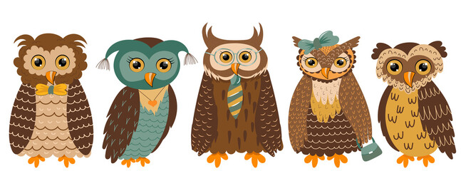 Wall Mural - owl cute character set flat design, isolated, vector