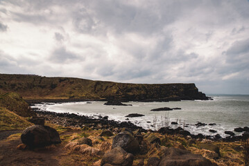 Wall Mural - Passo del gigante in Irlanda del Nord (giant causeway)