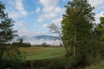 a blue sunny sky above Alp mountains covered with morning mist and green trees in small Bavarian town Murnau at dawn