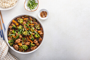 Wall Mural - Chicken stir fry with broccoli and sweet pepper