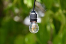 Bare Light Bulb Hanging In A Garden