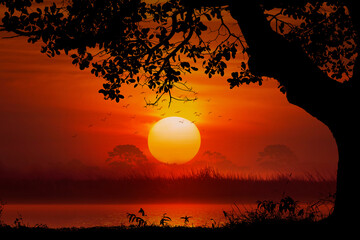 silhouette Tree and calm river meadows at sunset