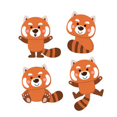 Wall Mural - cute red panda set. Animal wildlife cartoon character. -vector