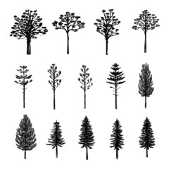 Wall Mural - Vector image with silhouette tree coniferous set. Sketch black collection on white background. Foliage decoration. Outline symbol graphic illustration. Plant leaf sign.