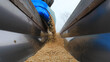 Farmers are adding oatmeal seeds to the planter on the farm, North China