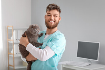 Wall Mural - Veterinarian with Scottish fold cat in clinic