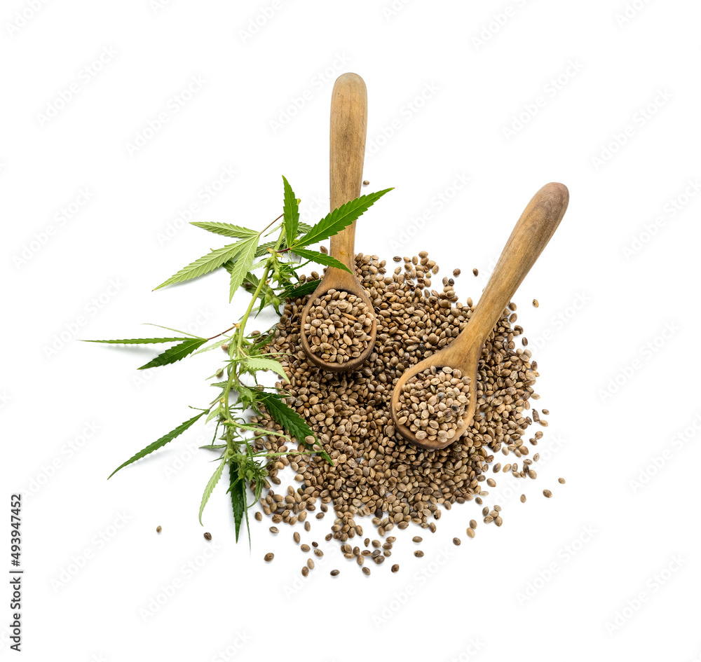 Spoons with hemp seeds on white background