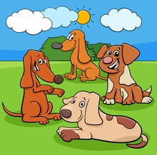 Cartoon Dogs And Puppies Funny Characters Group