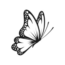 Butterfly Drawing Art Vector Design