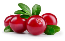 Cranberry Isolated. Cranberries With Leaves On White Background. Four Cranberry Berries With Clipping Path. Full Depth Of Field.