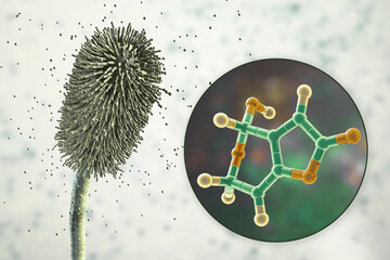 Canvas Print - Aspergillus clavatus mold fungi and molecule of patulin toxin, 3D illustration