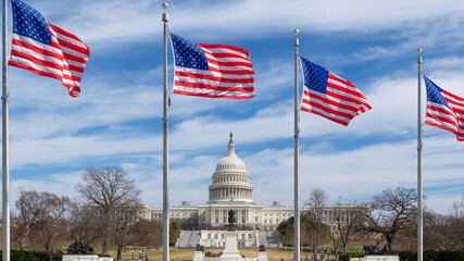 Wall Mural - The United States Capitol Building and American flags in Washington DC, USA.	