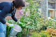 Woman fertilizing flower bed with granulated mineral fertilizers