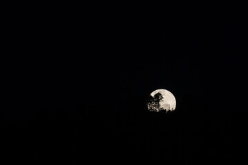 Sticker - Night moon snow call 2019, silhouette mountains and trees at dusk in Guatemala