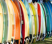 Multicolored Surfboards Standing On A Board Rack