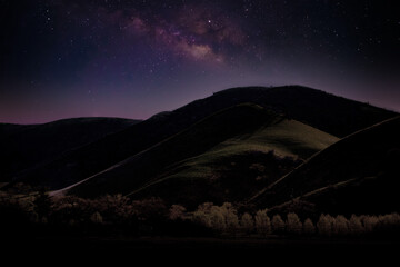 Wall Mural - Landscape with Milky Way. Night sky with stars