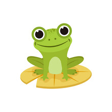 Isolated Green Frog Animated Animals Jungle Vector Illustration
