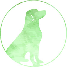 Vector Of A Green Dog Isolated On A White Background